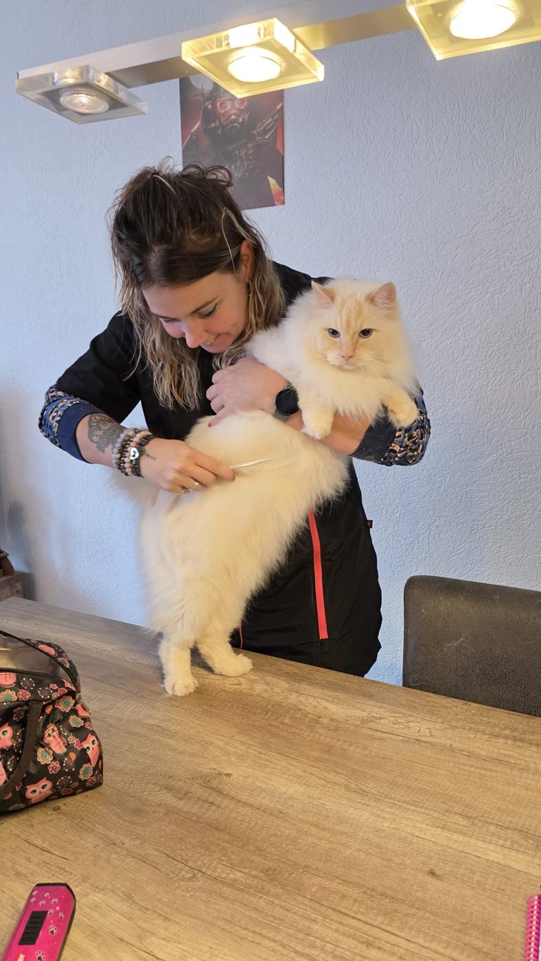 Foto uit de fotogalerij van Trimsalon Amira